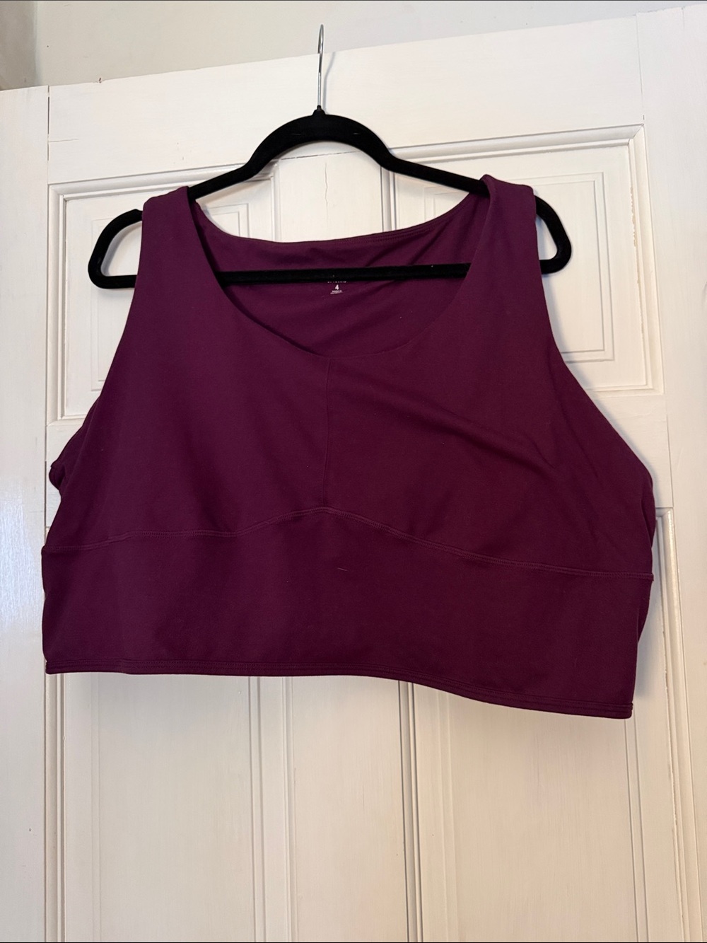torrid Plum Wireless Sports Bra